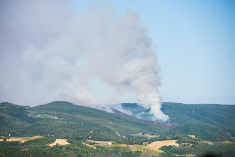 Cesane di Urbino canadair - 07072017 Foto di Donato Mosci